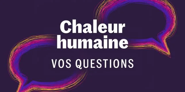 Cinq histoires d’oiseaux à écouter à l’heure de la sieste