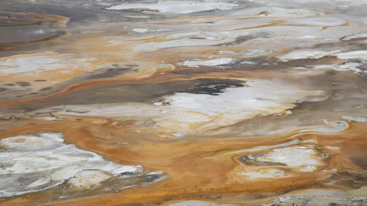 Scientists identify 'sweet spot' for early stage of life on Earth that preceded LUCA, the ancestor of all living things