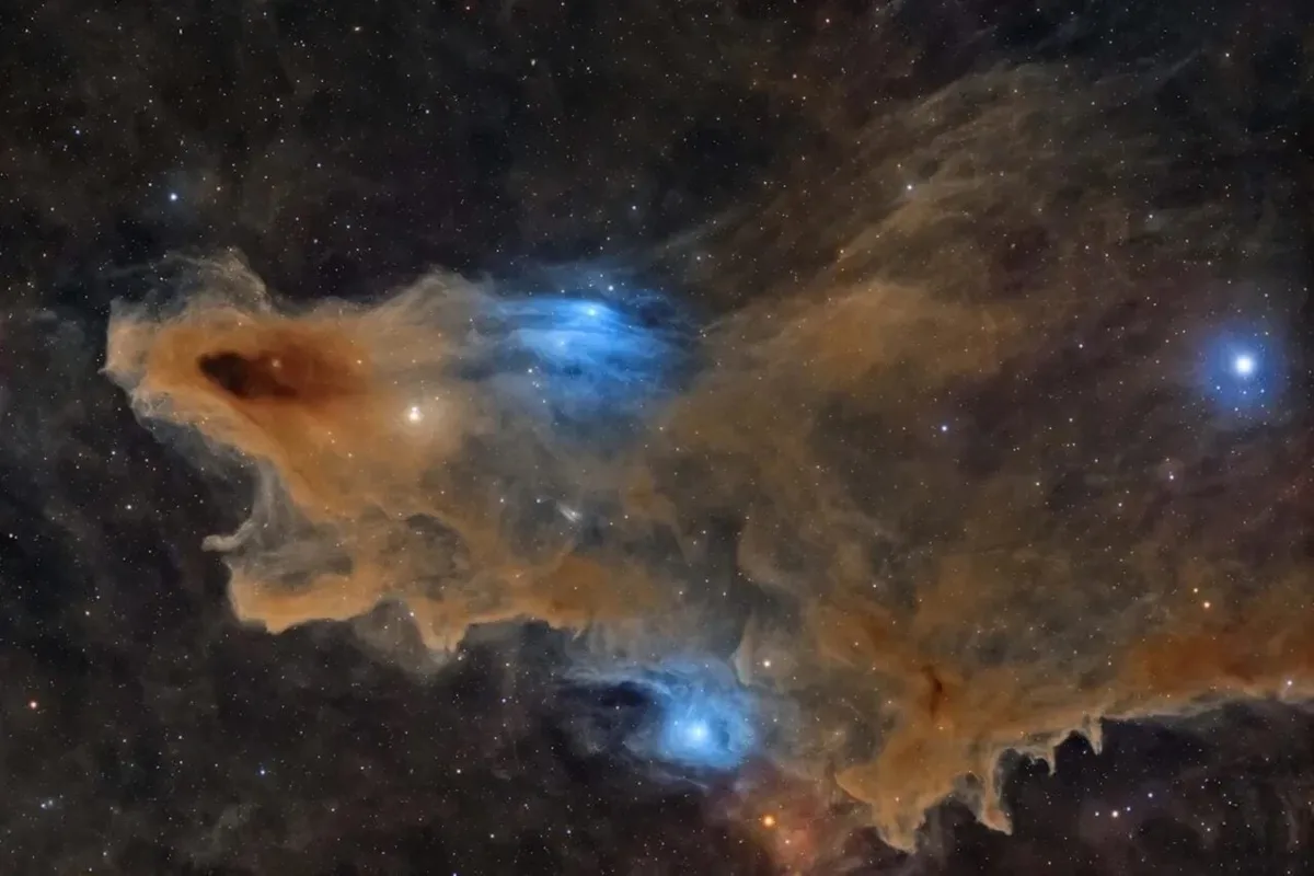 A Deep-Space Shark Is Prowling the Cosmos—and the Photo Just Won a Major Award