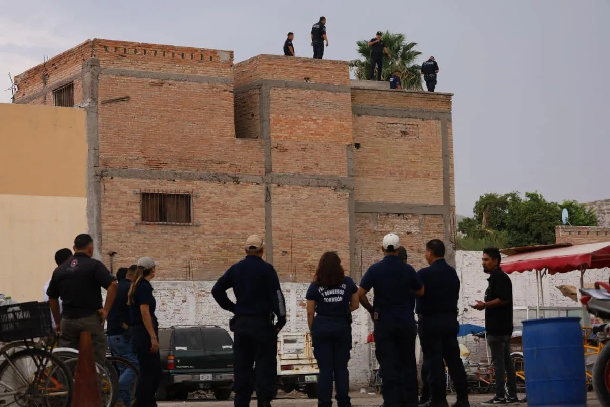 ¡Por fin! capturan a pantera que causó zozobra entre la población de Lerdo y Torreón