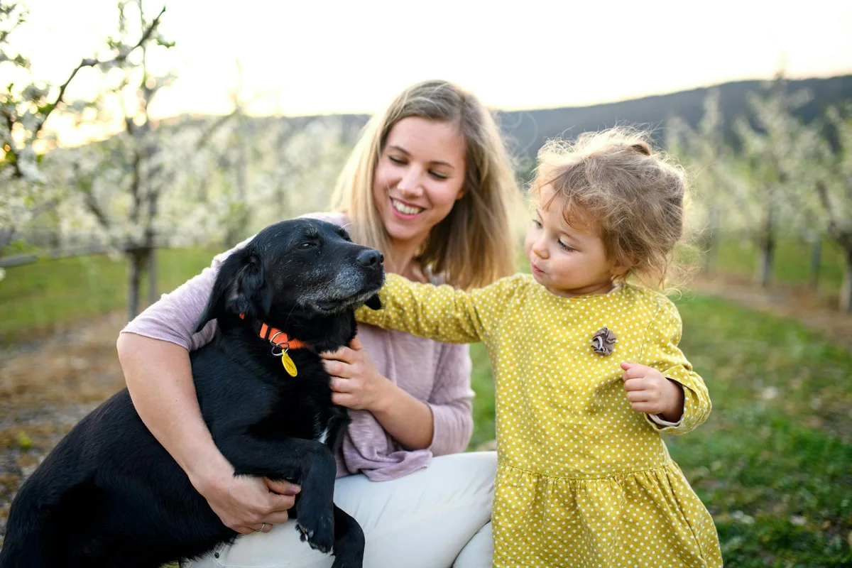Why parent-child playful interactions mean so much more than fun and games