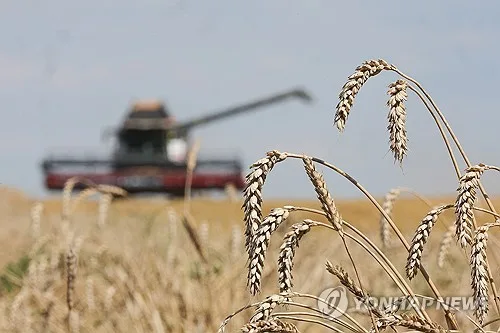 러·우크라 흑해 곡물 수출 사실상 마비…"97% 이상 중단"