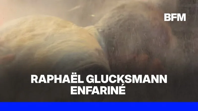 Primaire PS-Place publique: Raphaël Glucksmann enfariné après sa victoire