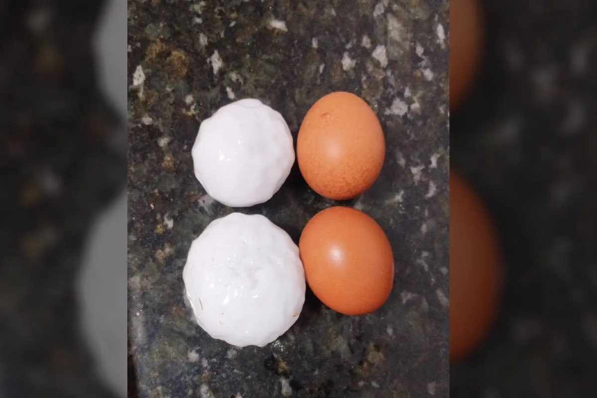 Cidade do PR registra queda de granizo do tamanho de ovos de galinha; estado está sob alerta vermelho para temporais