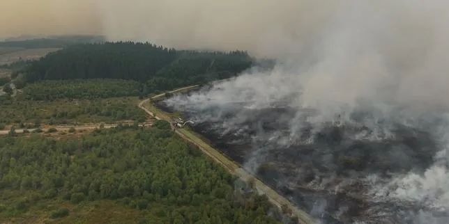 EN DIRECT, incendies et canicule : la Belgique affronte l’un des pires feux de son histoire ; dans les Landes, la situation évolue « plutôt favorablement »