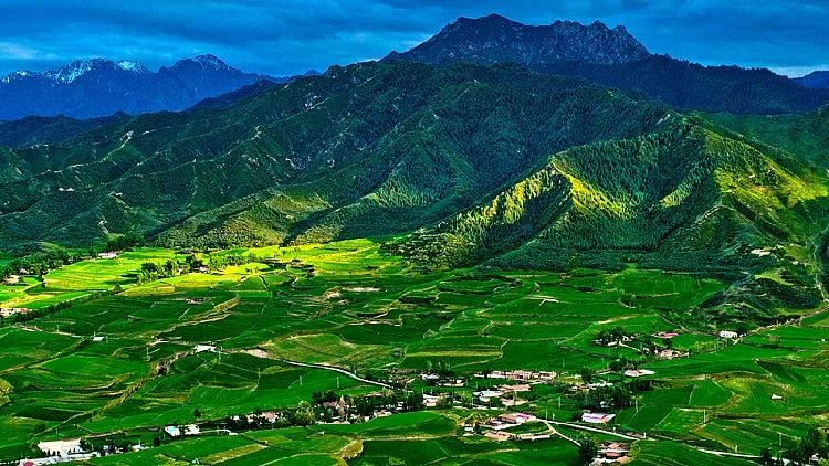 Inside China's national parks as wildlife rebounds