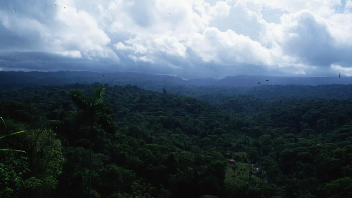 Costa Rica: Deutscher Konsul verunglückt in Costa Rica tödlich