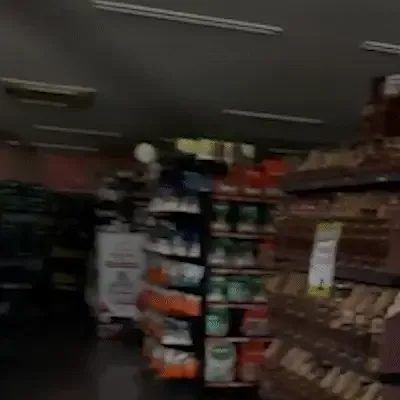 No 2º dia sem energia, pet shop na Via Parque estima prejuízo de R$ 90 mil