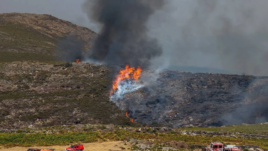 Três dos quatro bombeiros feridos em Arouca estão em estado crítico, um com prognóstico "muito reservado"