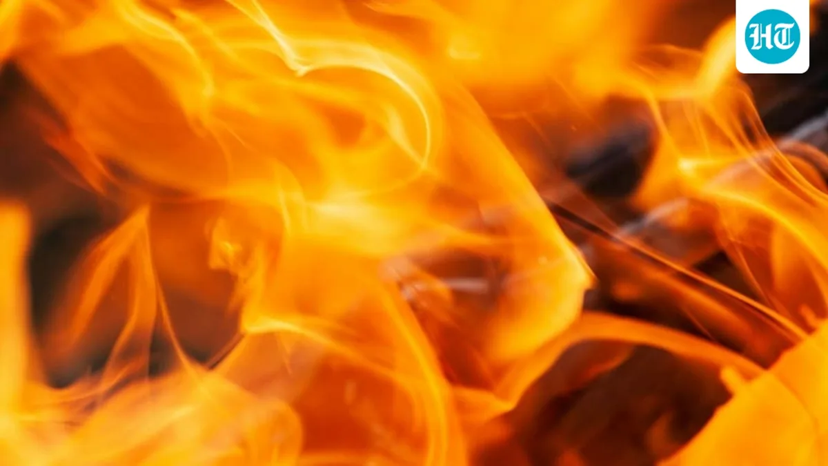 Austin fire: Large blaze erupts at Austin Country Flea Market; videos surface