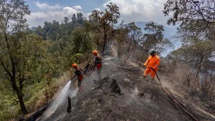 Quatre hommes sont morts en luttant contre les incendies dans un parc national indonésien