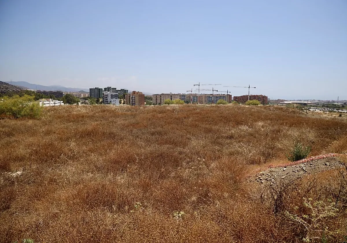 La Universidad de Málaga tasa en 50 millones los terrenos de la Nueva Rosaleda y De la Torre responde: «Somos copropietarios»