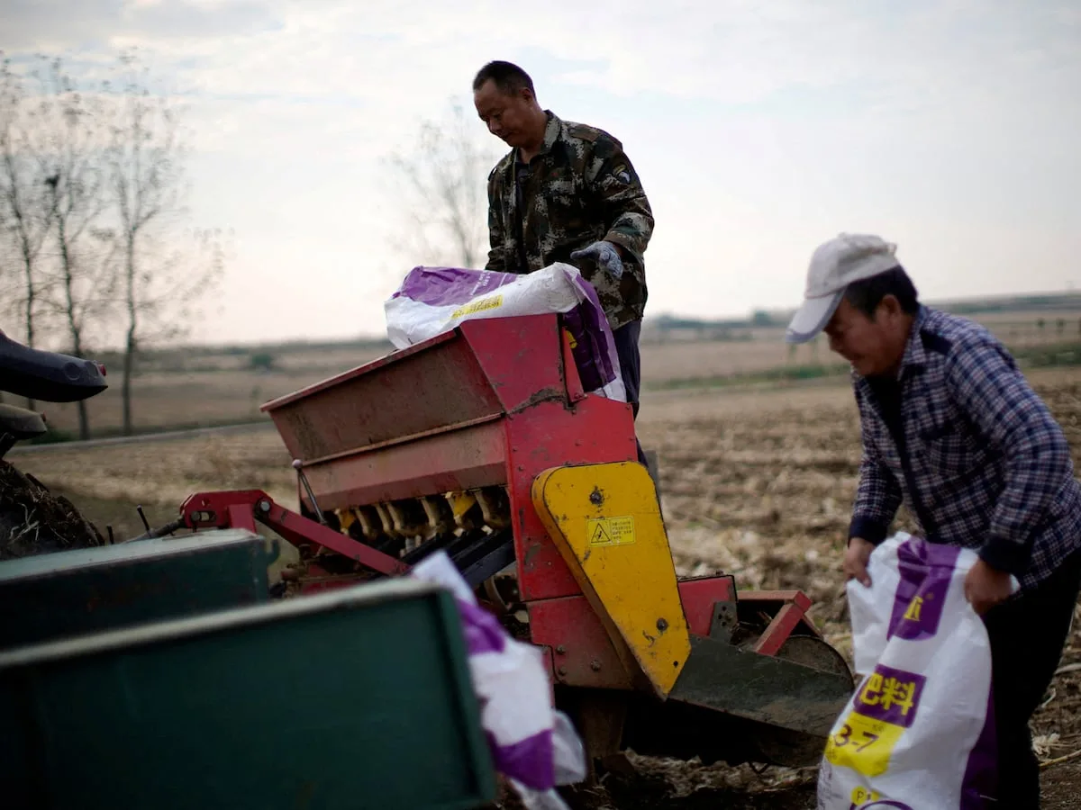 ANTHONY BUTLER | Rising food prices threaten South Africa’s stability