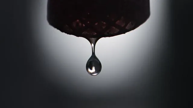 Folgen der Trockenheit: Viel mehr Regen nötig: Grundwasserlage bleibt angespannt