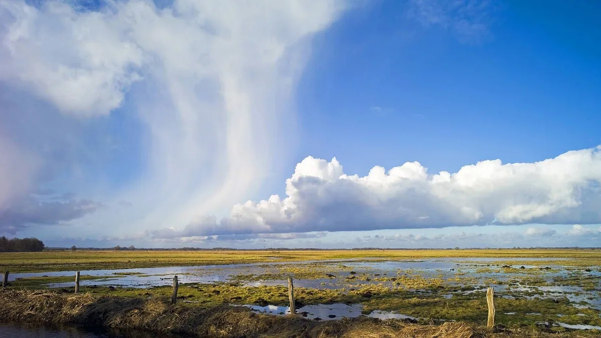 Wiedervernässung: Land unter für die Moorbauern