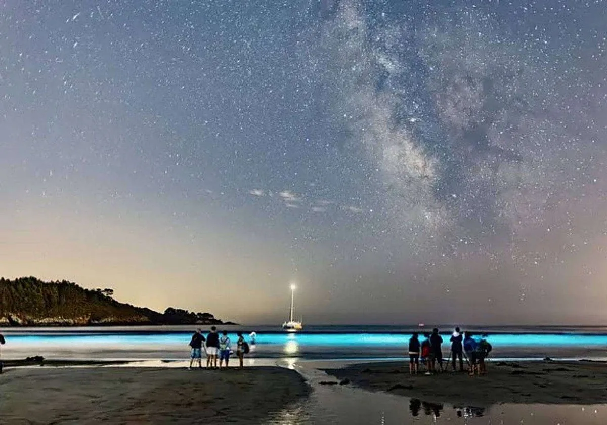 Vuelve el mar de ardora a Galicia: aquí puede verse esta semana