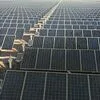 Central solar Sophia cortada em 35%. Projeto pode cair