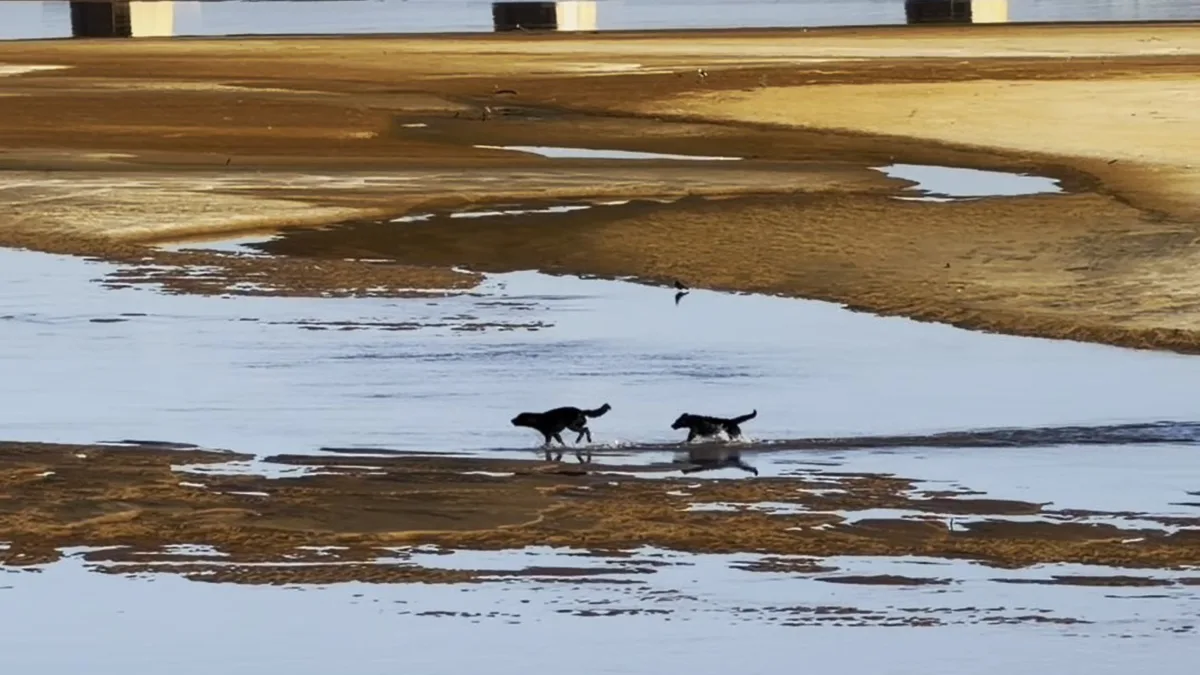 El Niño forte: ES terá mais calor e menos chuva na primavera