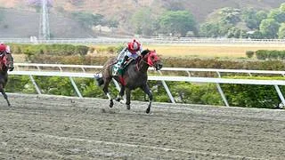 Exclusiva: Conoce cuántos caballos argentinos van a llegar a La Rinconada