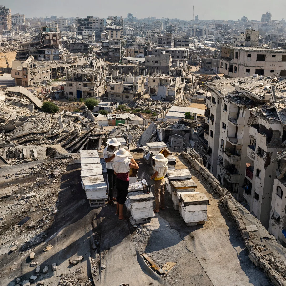 Wringing Hope From the Rubble of Gaza