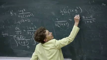 "J'en ai même pleuré" : pourquoi les progrès de l'intelligence artificielle plongent les mathématiciens dans "une crise existentielle"
