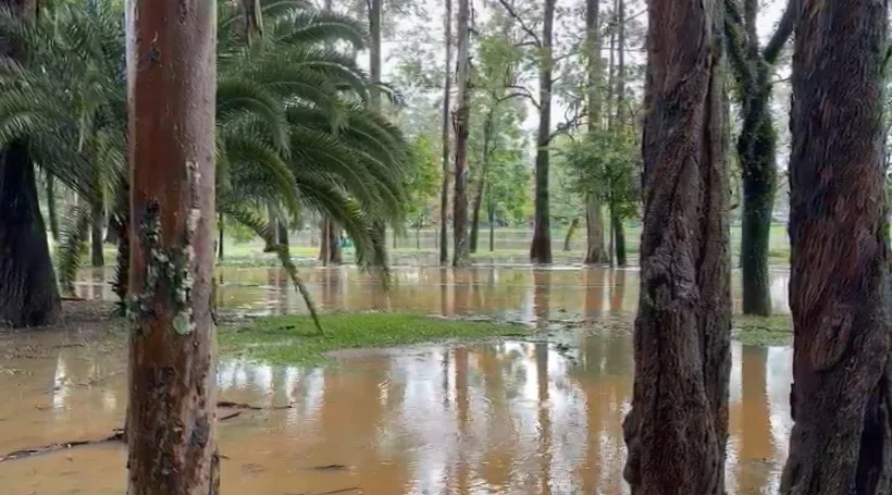 Lago do Parque Ibirapuera transborda após chuva, derruba grade e alaga vias nesta quarta