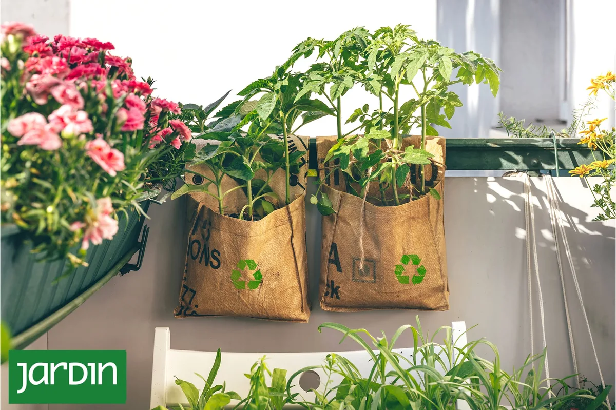 Qué son las bolsas de cultivo y para qué plantas sirven