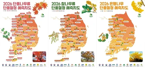 붉은 단풍·노란 은행, 10월초 강원 북부 본격화·10월말 '절정'