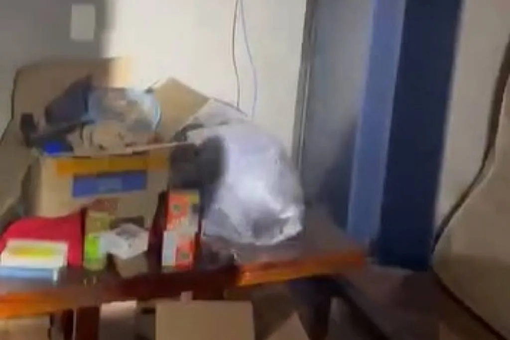 Mulher sequestrada por ex é encontrada amordaçada e acorrentada em Goiás