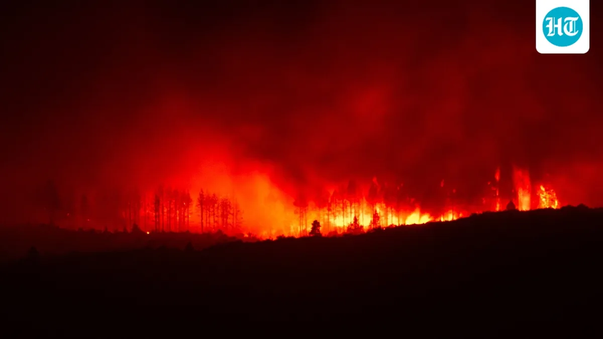 Railroad South Fire: Large wildfire near Indiahoma, Oklahoma destroys buildings; check map as scary visuals emerge