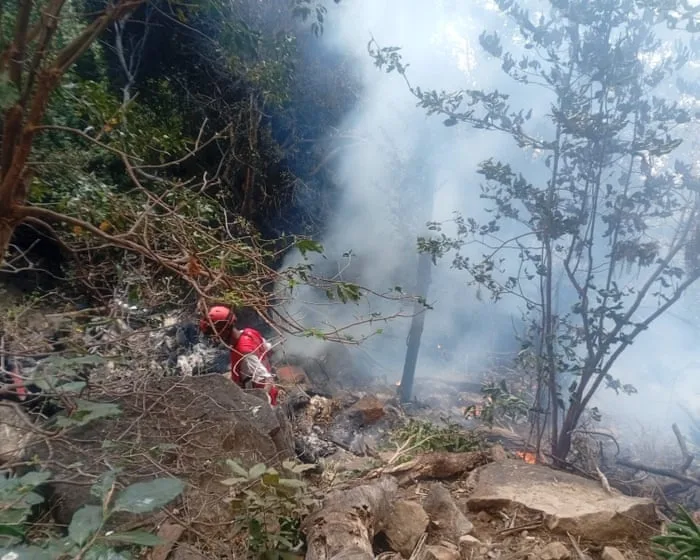 Five Americans among seven killed in safari helicopter crash in Kenya