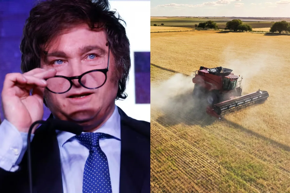 La cosecha que falta vender se valorizó en US$575 millones en solo una semana y es una buena noticia para el campo y el Gobierno