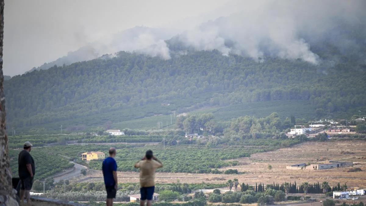El fuego se ceba con la provincia de Castellón que padece el 99,4% de todas las hectáreas quemadas