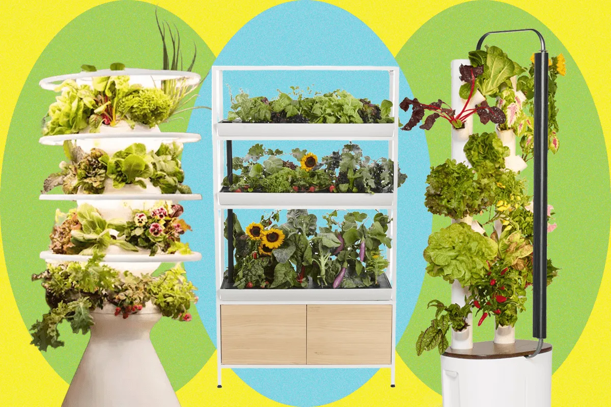 Best Indoor Garden Systems I’ve Been Testing All Year (2026)
