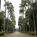 Quem são os candidatos ao governo de Minas Gerais (MG) nas eleições 2026