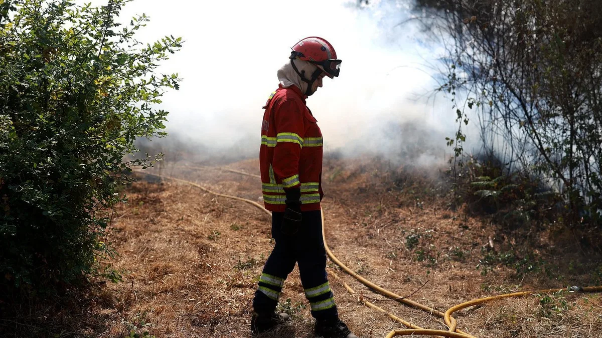 Mais de 100 bombeiros combatem incêndio em Mira-Sintra