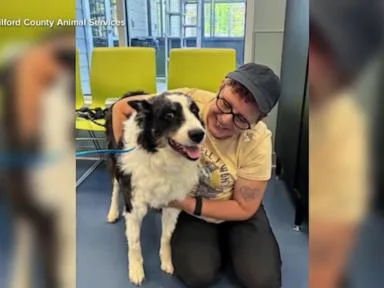 WATCH: Lost dog reunited with family after 1,000-mile journey