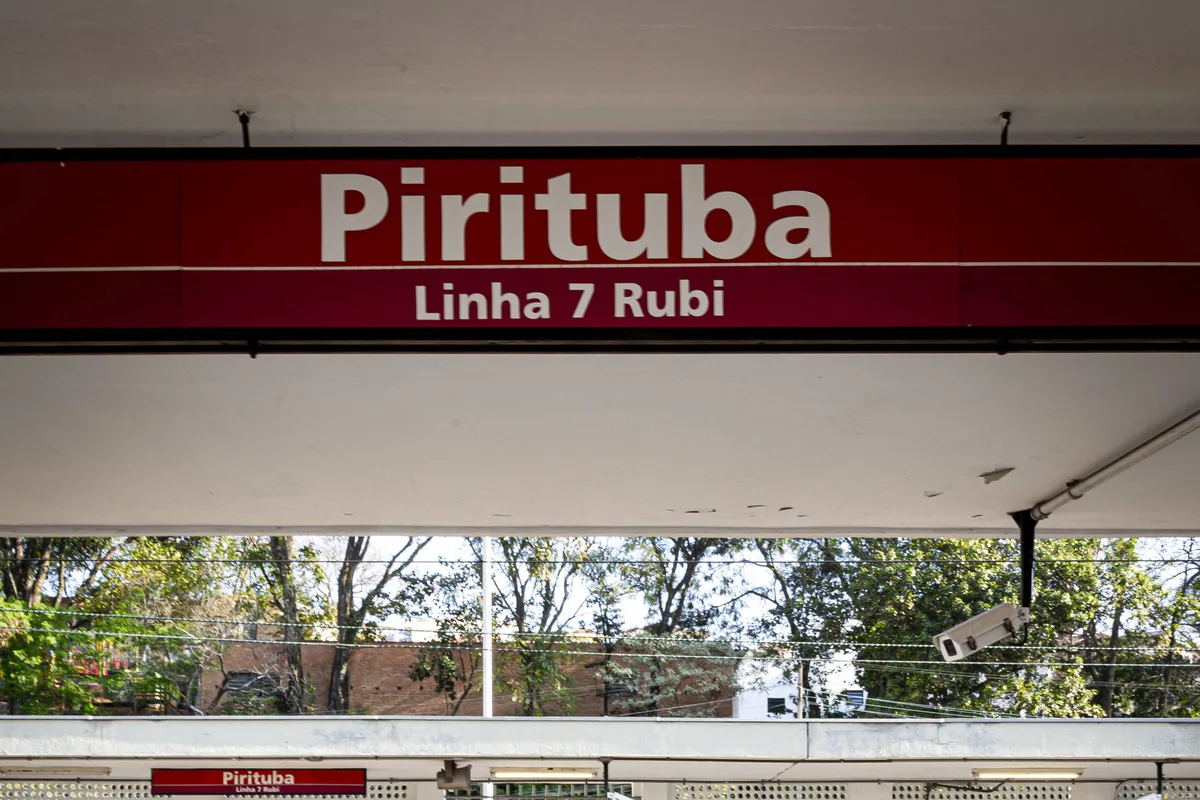 Trens da linha 7-rubi vão funcionar com lentidão neste domingo (13) para retirada árvore dos trilhos