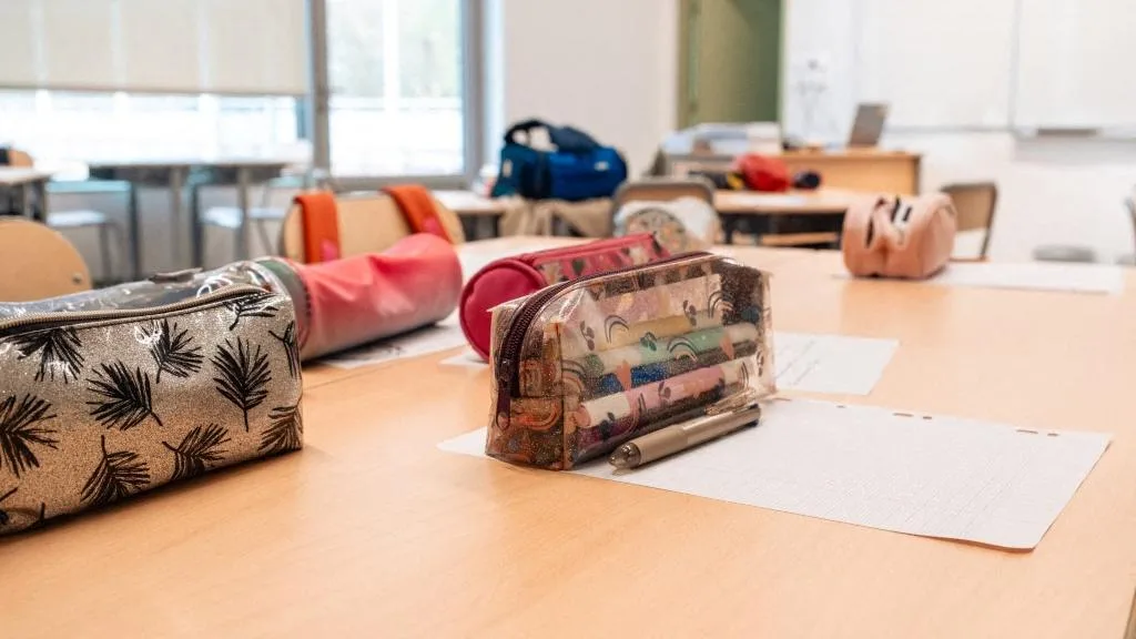 Voici les questionnaires sur les violences sexuelles qui seront distribués à l’école