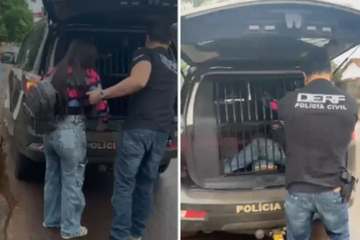 Mulher é presa por aplicar 'golpe da falsa cafetina' e extorquir vítimas em site de acompanhantes de luxo