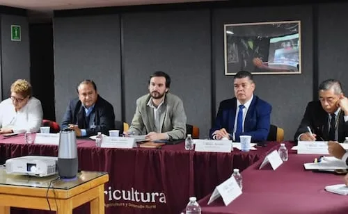 México integra grupo técnico internacional contra gusano barrenador; busca fortalecer vigilancia y capacitación