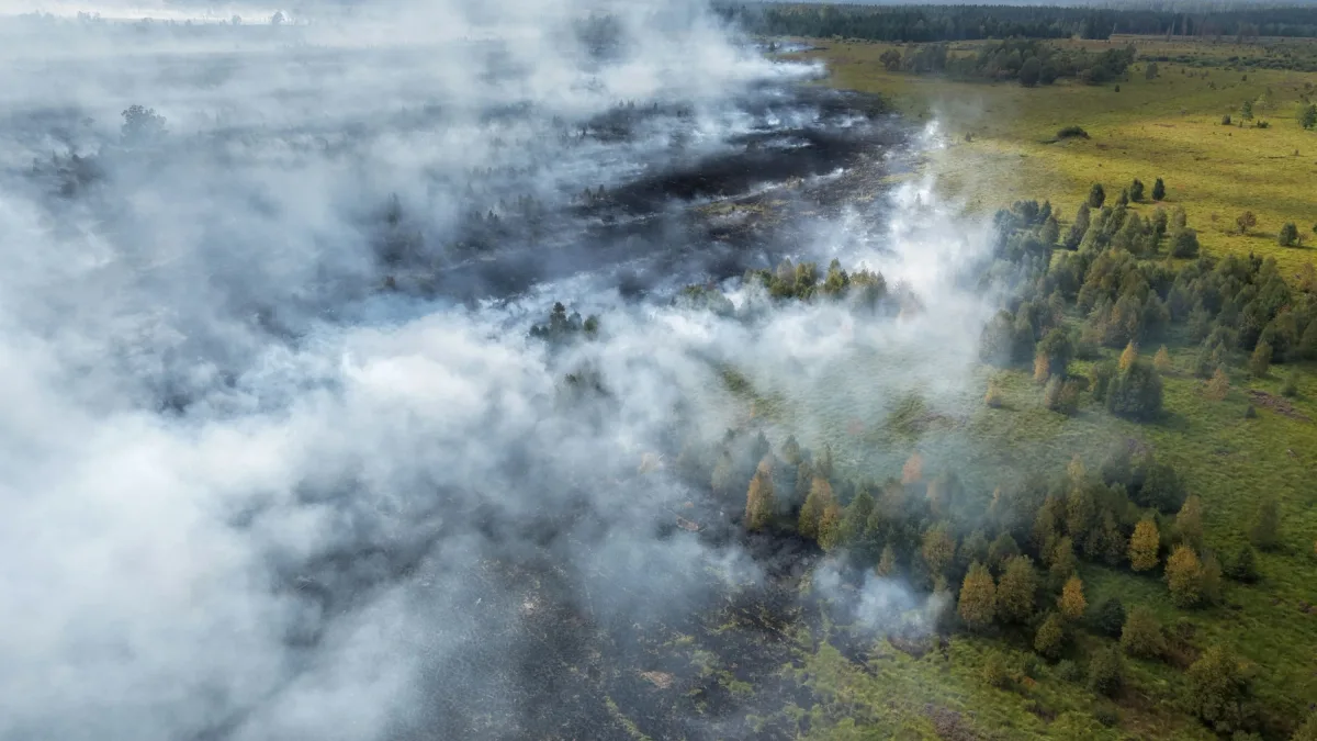Hitze-Liveblog: Waldbrand im Hohen Venn bleibt „unberechenbar“