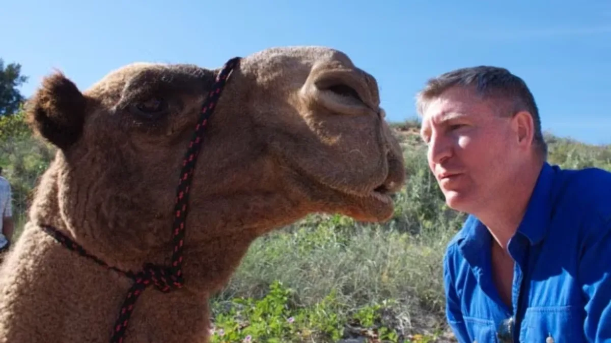 In 1998 David Mason walked 5,500km across Australia with camels in 236 days