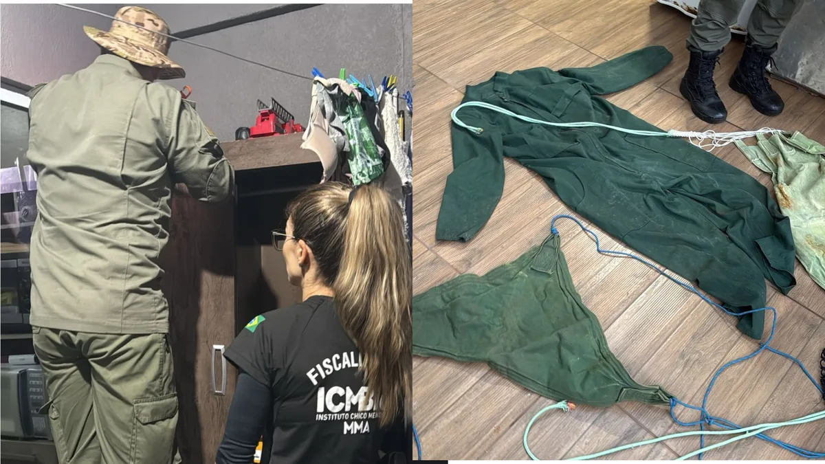Operação da PF mira suspeitos de invadir área protegida do Paraná à noite para caçar animais ameaçados de extinção