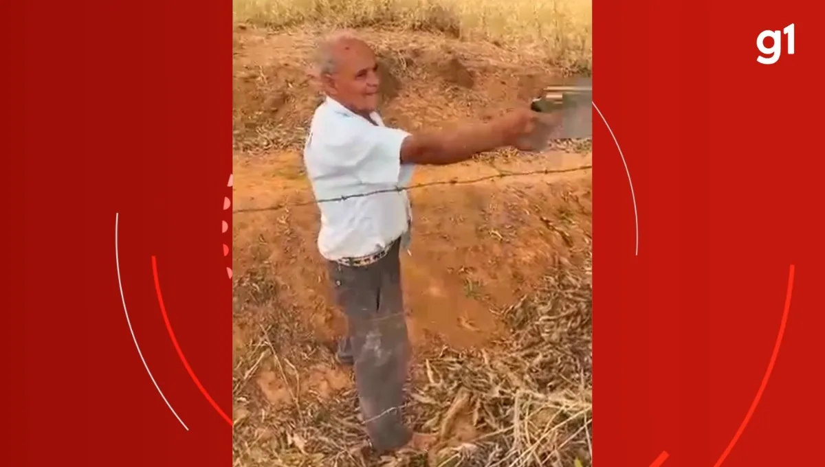 Homem mata vizinho em briga por poda de árvore e é assassinado pelo filho da vítima em MG