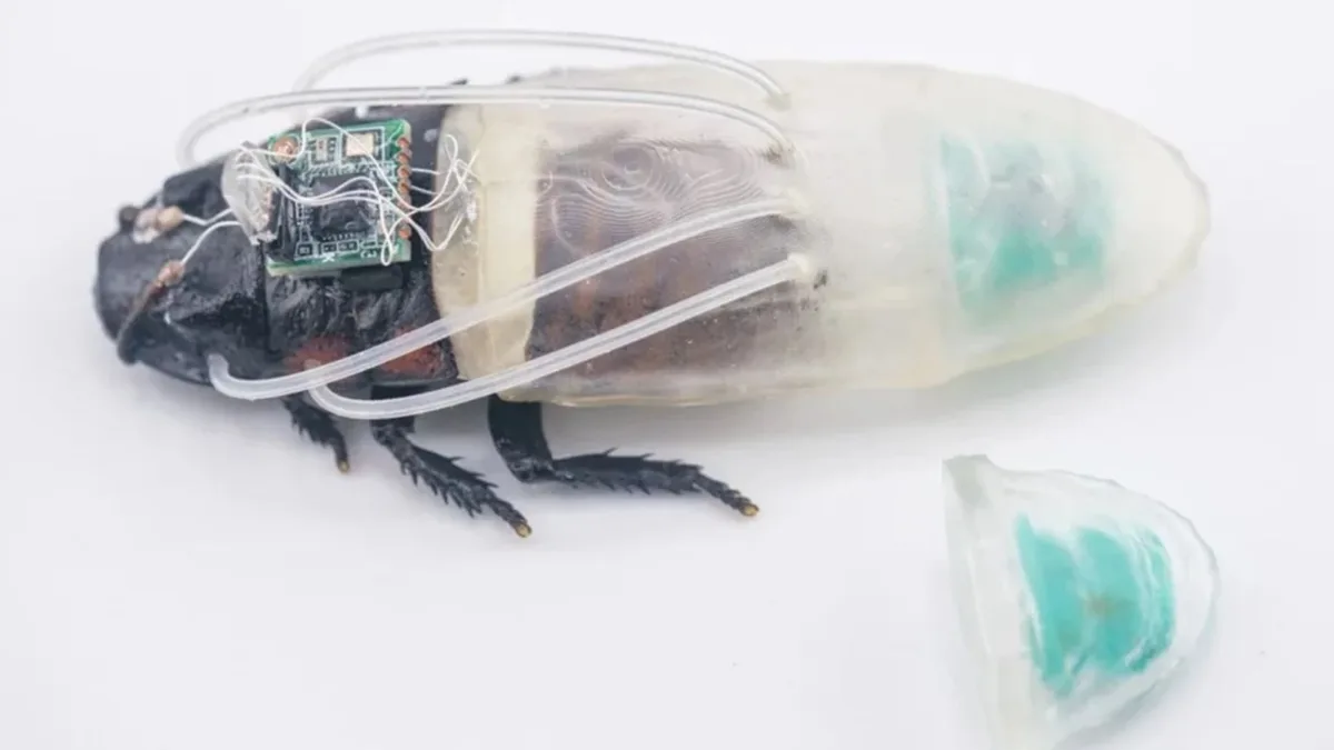 Cucarachas ciborg ya respiran bajo el agua por 3 horas con tecnología 3D