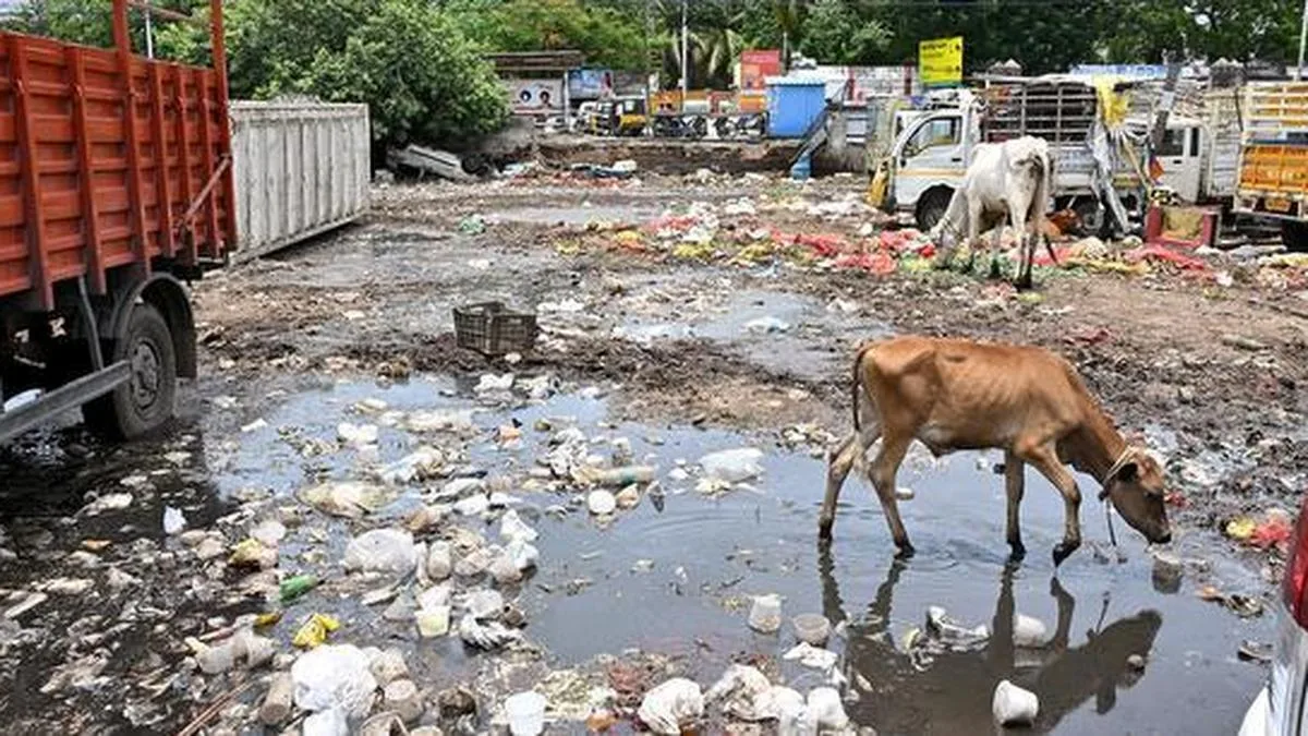 Squalor reigns at Thiruvanmiyur market