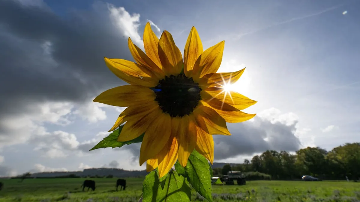 Erst Spätsommer, dann Wetter-Wende - Temperaturen stürzen um bis zu 15 Grad ab