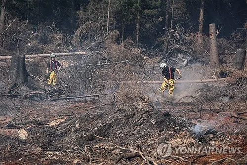 산불에 파묘되는 1·2차대전 포탄…"유럽, 새 위협 노출"
