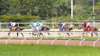 ¿Buscas asegurar? Revisa los datos con más fuerza y la jugada larga para la R32